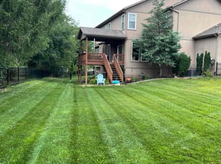 Alexander S.'s Lawn Care service result
