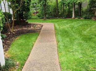 Darryl B.'s Yard Cutting service result