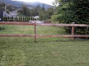 Heather M.'s Lawn Mowing Service service result