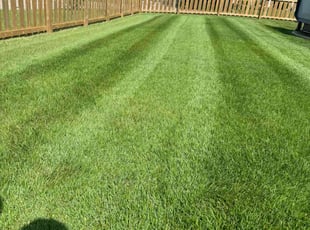 Jessica F.'s Lawn Mowing service result