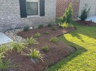 Weeding by Johnathon Chester for Mae S. in Baton Rouge, LA