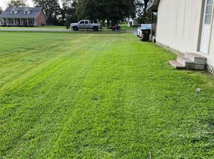 Princess G.'s Lawn Maintenance service result