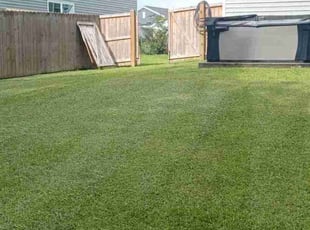 Victor V.'s Lawn Service service result