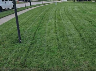 Susan L.'s Grass Cutting service result