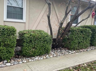 Bush Trimming by Bo Hickmon for Douglas W. in Independence, MO