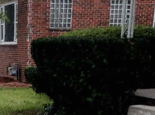 Bush Trimming by Ricardo Binyard Jr for Leonard P. in Detroit, MI
