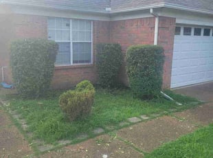 Bush Trimming by Randy Farmer for Sean B. in Bartlett, TN