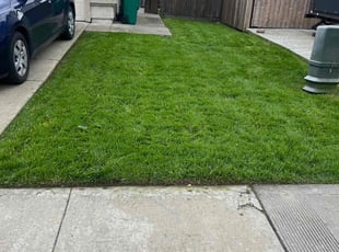 Stacy C.'s Lawn Mowing Service service result