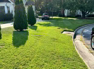 Nicholas K.'s Lawn Mowing service result