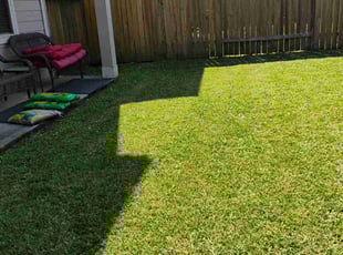 Aisha c.'s Lawn Service service result