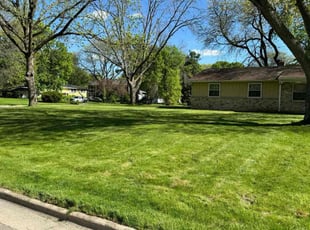 Shacara R.'s Lawn Care service result