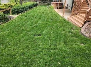 Gina R.'s Lawn Service service result