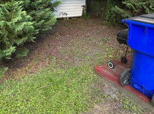 Leaf Removal by Julion Moreno for Patricia Y. in Norfolk, VA