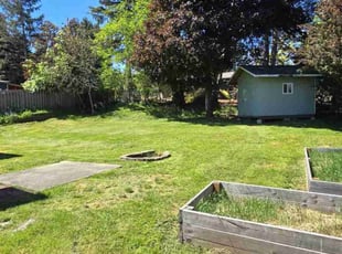 Suzanne S.'s Grass Cutting service result