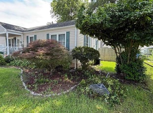 Bush Trimming by Derek Walker for Anthony C. in Virginia Beach, VA