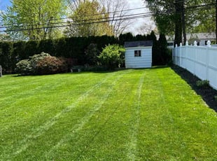 Brandon B.'s Lawn Mowing service result