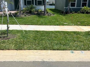 Vina N.'s Lawn Maintenance service result