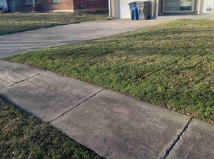 Dawn I.'s Yard Cutting service result