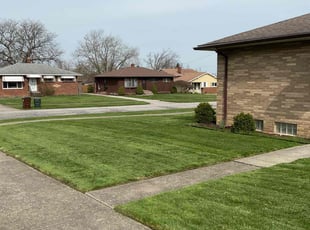 Theodore H.'s Lawn Maintenance service result