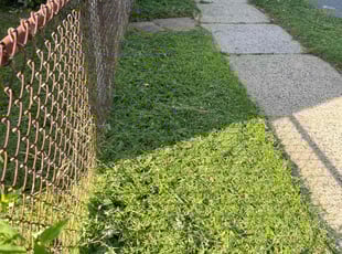 Genesis G.'s Lawn Maintenance service result