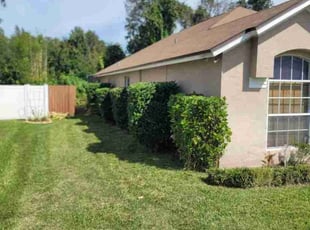 Bush Trimming by Kenneal Stewart for Stacy N. in Wesley Chapel, FL
