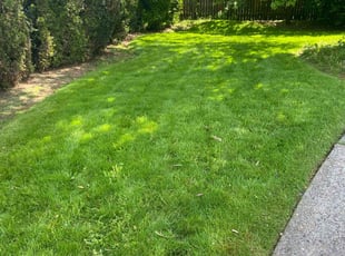 Kirk K.'s Yard Cutting service result