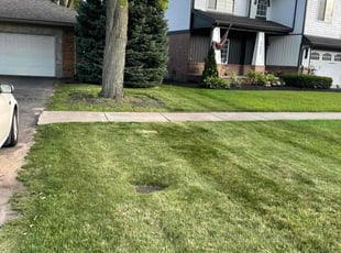 Miya S.'s Lawn Mowing Service service result