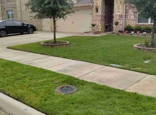 Jordan M.'s Lawn Mowing Service service result