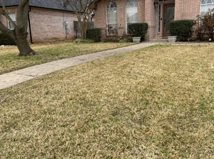 Leaf Removal by Maria Estrada Corona for Josh R. in Mansfield, TX