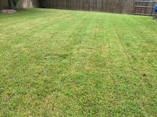 Cindy S.'s Lawn Care service result