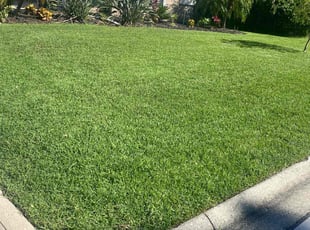 Casey R.'s Lawn Care service result