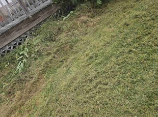 Manuel A.'s Lawn Maintenance service result