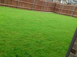 Creg S.'s Lawn Care service result