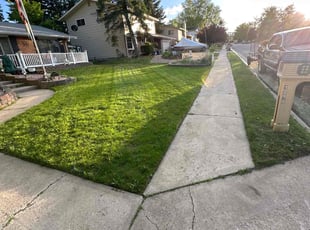 David W.'s Lawn Service service result