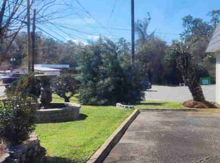 Fred J.'s Lawn Service service result