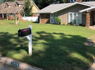 Dan H.'s Lawn Mowing service result