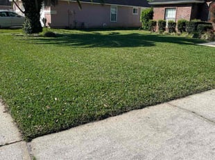 Jessica T.'s Lawn Care service result