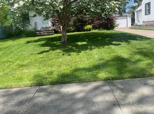 Jackie B.'s Lawn Maintenance service result