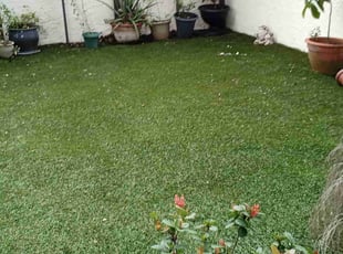 Keith C.'s Lawn Service service result