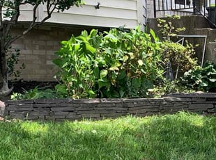 Bush Trimming by Bishamy Morning for Sheila L. in Capitol Heights, MD
