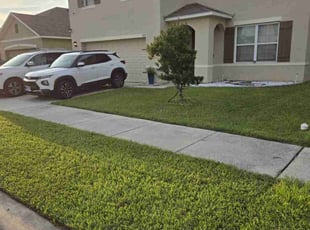 Kathy A.'s Lawn Mowing Service service result