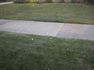 Pam H.'s Lawn Mowing service result