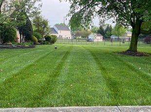 Mary M.'s Lawn Mowing service result