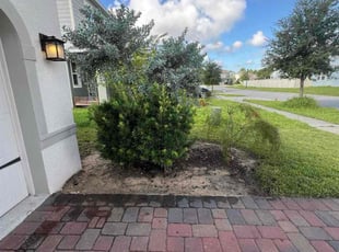 Weeding by Daniel Gonzalez for Kyann P. in Davenport, FL