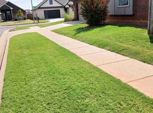 Rebecca L.'s Grass Cutting service result