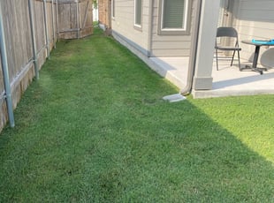 Mei W.'s Lawn Mowing service result