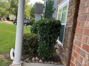 Bush Trimming by Jovon Braddy for Tina R. in College Park, GA