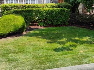 Christopher H.'s Lawn Mowing service result