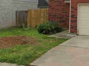Bush Trimming by Shanti Smith for Kaitlin W. in Missouri City, TX