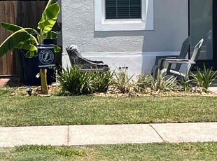 Weeding by Dwaylon Peterson for Anthony S. in Tampa, FL